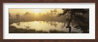 Framed Reflection of trees in a lake, Vastmanland, Sweden