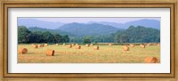 Framed Hay bales in a field, Murphy, North Carolina, USA