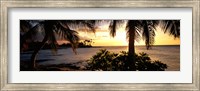 Framed Kohala Coast, Hawaii, USA
