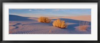 Framed USA, New Mexico, White Sands, sunset
