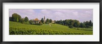 Framed WIne country with buildings in the background, Village near Geneva, Switzerland