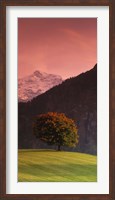Framed Switzerland, Alps