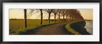 Framed Winding Road, Trees, Oudendijk, Netherlands