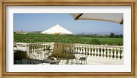 Framed Vineyards Terrace at Winery Napa Valley CA USA
