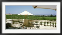 Framed Vineyards Terrace at Winery Napa Valley CA USA