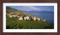 Framed Village Rivaz between Vineyards & Mts. Lake Geneva Switzerland