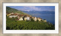 Framed Village Rivaz between Vineyards & Mts. Lake Geneva Switzerland