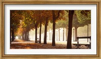 Framed France, Paris, Champs Elysees