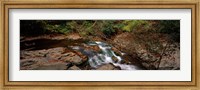 Framed White Water The Great Smoky Mountains TN USA