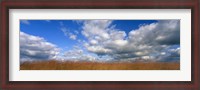 Framed Hayden Prairie, Iowa