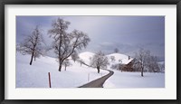Framed Switzerland, Canton of Zug, Linden trees on a snow covered landscape
