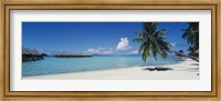 Framed Palm Tree On The Beach, Moana Beach, Bora Bora, Tahiti, French Polynesia