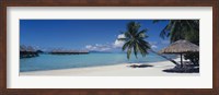 Framed Lounge chair under a beach umbrella, Moana Beach, Bora Bora, French Polynesia