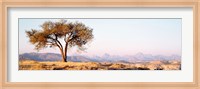 Framed Tree in a field with a mountain range in the background, Debre Damo, Tigray, Ethiopia