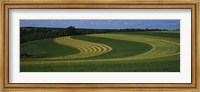 Framed Curving crops in a field, Illinois, USA