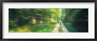 Framed Road, Greenery, Trees, Germany