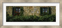 Framed Flowers on a window, Monteriggioni, Tuscany, Italy