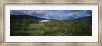 Framed Hotel in the forest, Mount Washington Hotel, Bretton Woods, New Hampshire, USA