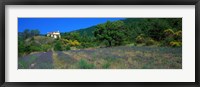 Framed Lavender Field La Drome Provence France