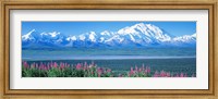 Framed Mountains & Lake Denali National Park AK USA