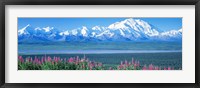 Framed Mountains & Lake Denali National Park AK USA