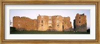 Framed Lawn in front of a landscape, Roscommon Castle, Roscommon County, Republic Of Ireland