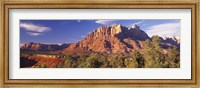 Framed Canyon surrounded with forest, Escalante Canyon, Zion National Park, Washington County, Utah, USA