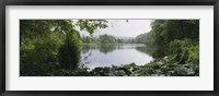 Framed Forest and River, Sjolangs, Sweden