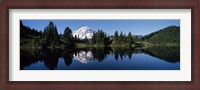Framed Eunice Lake Mt Rainier National Park WA USA