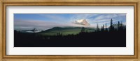 Framed Silhouette of trees with a mountain in the background, Canadian Rockies, Alberta, Canada