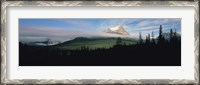 Framed Silhouette of trees with a mountain in the background, Canadian Rockies, Alberta, Canada