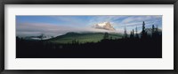 Framed Silhouette of trees with a mountain in the background, Canadian Rockies, Alberta, Canada