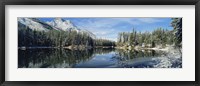 Framed Reflection of trees in a lake, Yellowstone National Park, Wyoming, USA