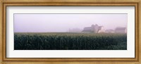 Framed Barn in a field, Illinois, USA