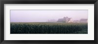 Framed Barn in a field, Illinois, USA