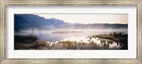 Framed Lake with mountains in the background, Canadian Rockies, Alberta, Canada