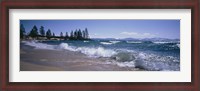 Framed Trees along a lake, Lake Tahoe, Nevada, USA