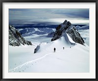 Framed Upper Fox Glacier Westland NP New Zealand