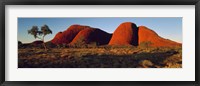 Framed Olgas N Territory Australia