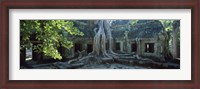 Framed Wat Temple Complex of Ta-Prohm Cambodia