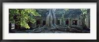 Framed Wat Temple Complex of Ta-Prohm Cambodia