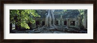 Framed Wat Temple Complex of Ta-Prohm Cambodia
