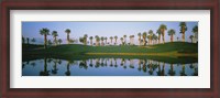 Framed Golf Course Marriot's Palms AZ