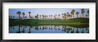 Framed Golf Course Marriot's Palms AZ