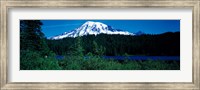Framed Mt Rainier Mt Rainier National Park WA USA