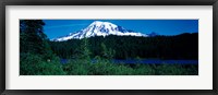 Framed Mt Rainier Mt Rainier National Park WA USA