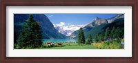 Framed Shore of Lake Louise, Banff National Park, Alberta, Canada