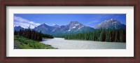 Framed Rocky Mountains Near Jasper, Alberta Canada