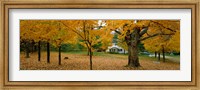 Framed Autumn, Muskoka, Canada