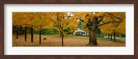 Framed Autumn, Muskoka, Canada